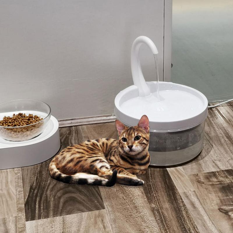 NM | Cat Automatic Drinking Bowl
