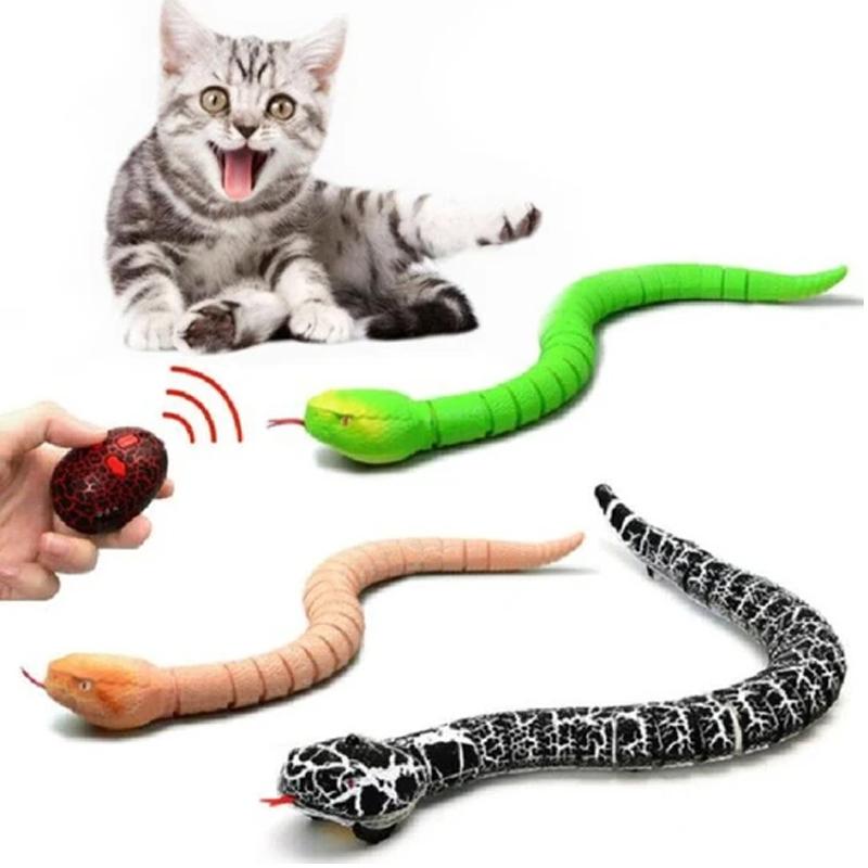 NM | CAT SNAKE TOY