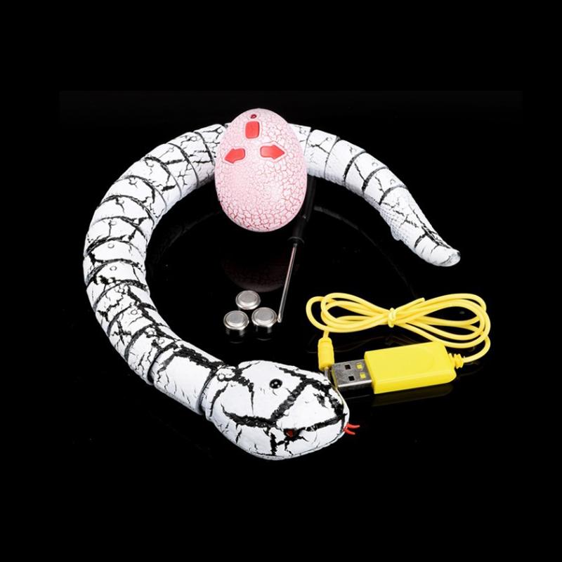 NM | CAT SNAKE TOY