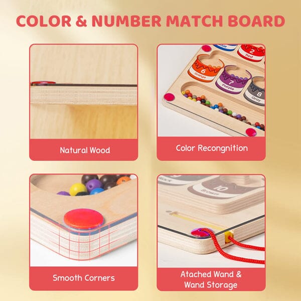 NM | Magnetic Color and Number Maze